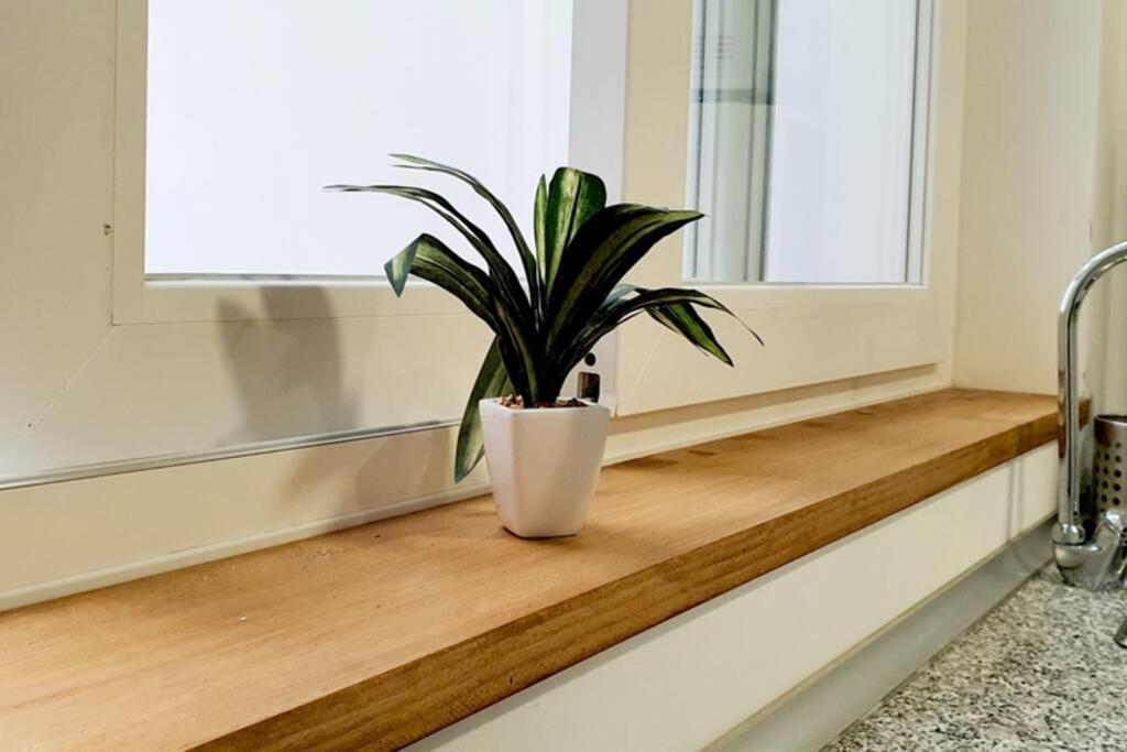 Appartamento Apartamento Interior En El Centro De Algeciras 2A Esterno foto